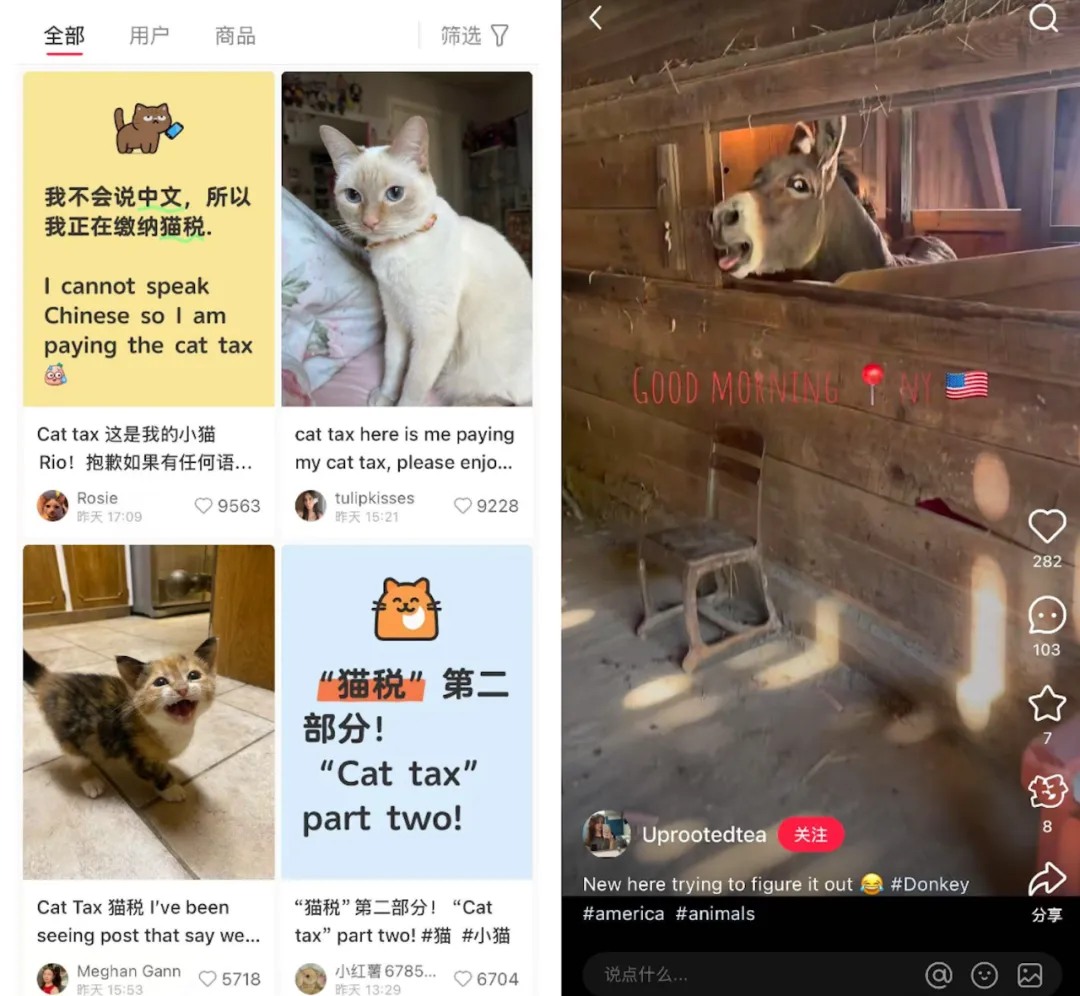 一夜之间美媒集体惊呼什么是“小红书”?“TikTok难民”如何玩转中国社交网络 第4张 一夜之间美媒集体惊呼什么是“小红书”?“TikTok难民”如何玩转中国社交网络 第4张