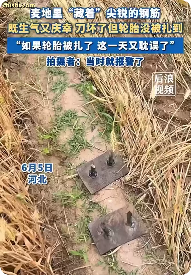 邯郸麦地插钢钉后续：农户曝光内幕，官方回应发通告，有人睡不着了